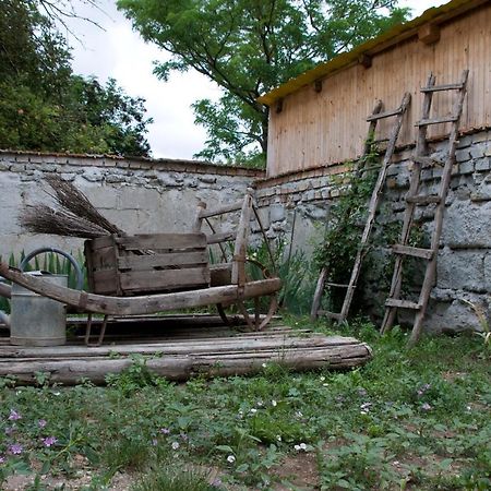 Appartamento Notas Tuecsoek Vendeghaz Agyagosszergény Esterno foto