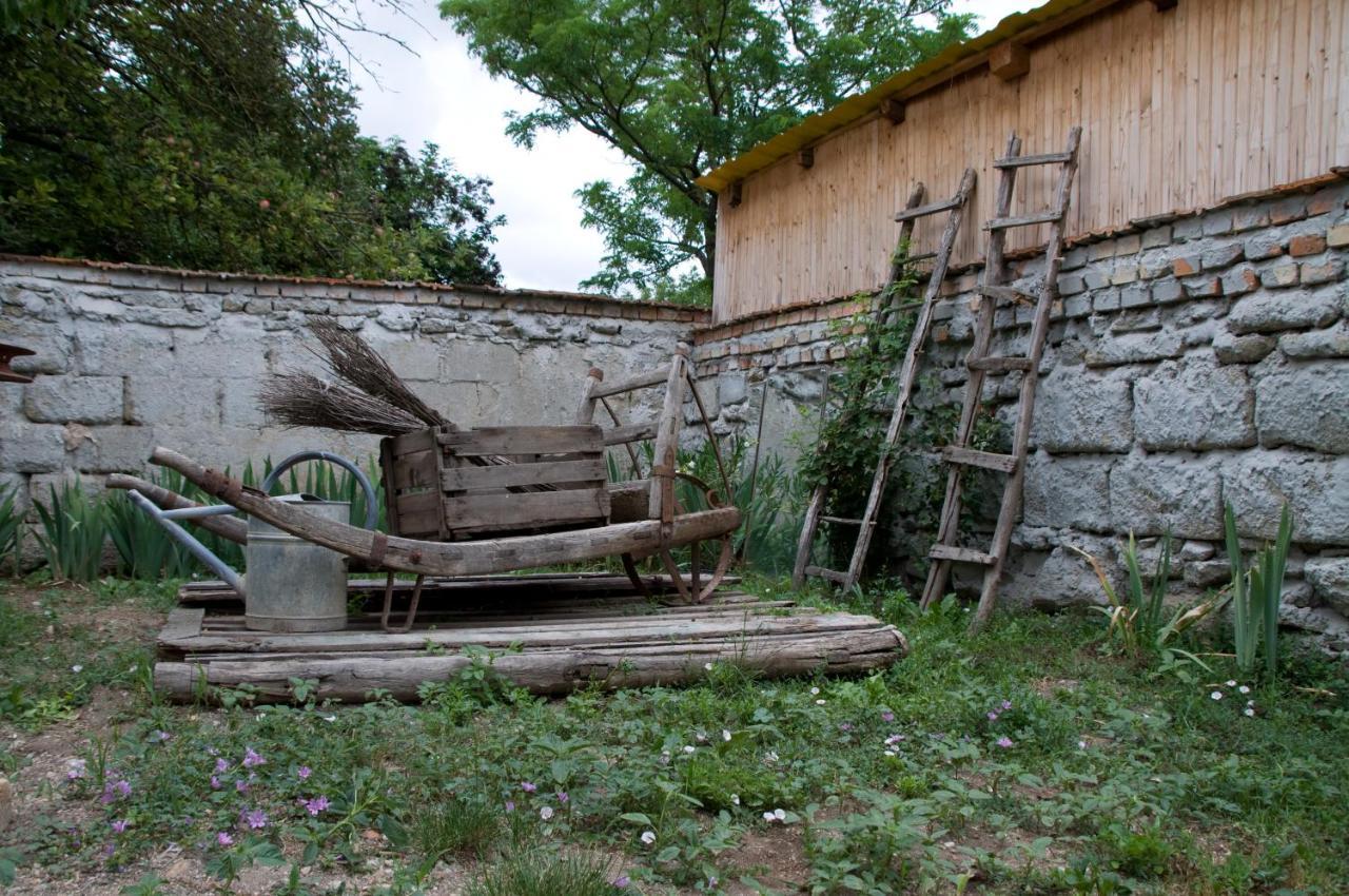 Appartamento Notas Tuecsoek Vendeghaz Agyagosszergény Esterno foto